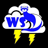 weaslestorm pfp